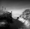 Strand la torche