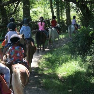 balade poney forêt