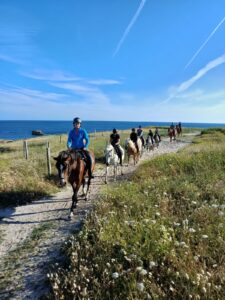 balade chevaux en bord de mer
