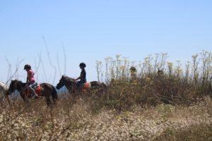 balade poney dune